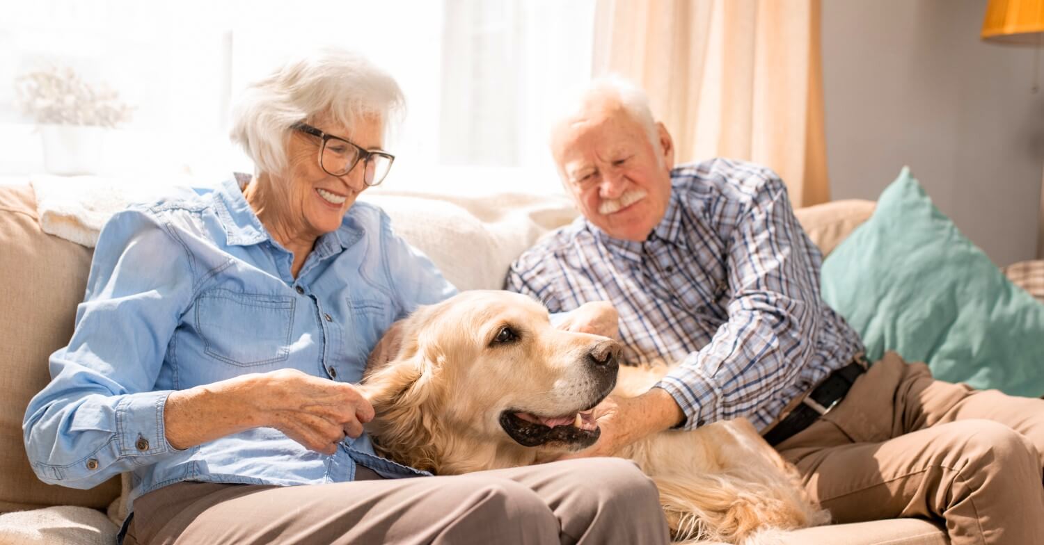 Ein Rentnerpaar sitzt zusammen mit einem Golden Retriever auf dem Sofa. Beide streicheln den Hund, der zwischen ihnen liegt